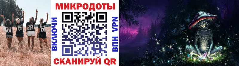 Галлюциногенные грибы Psilocybe  Чёрмоз 